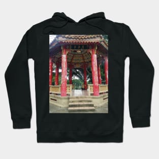 Laying dog in Thailand Pagoda Hoodie